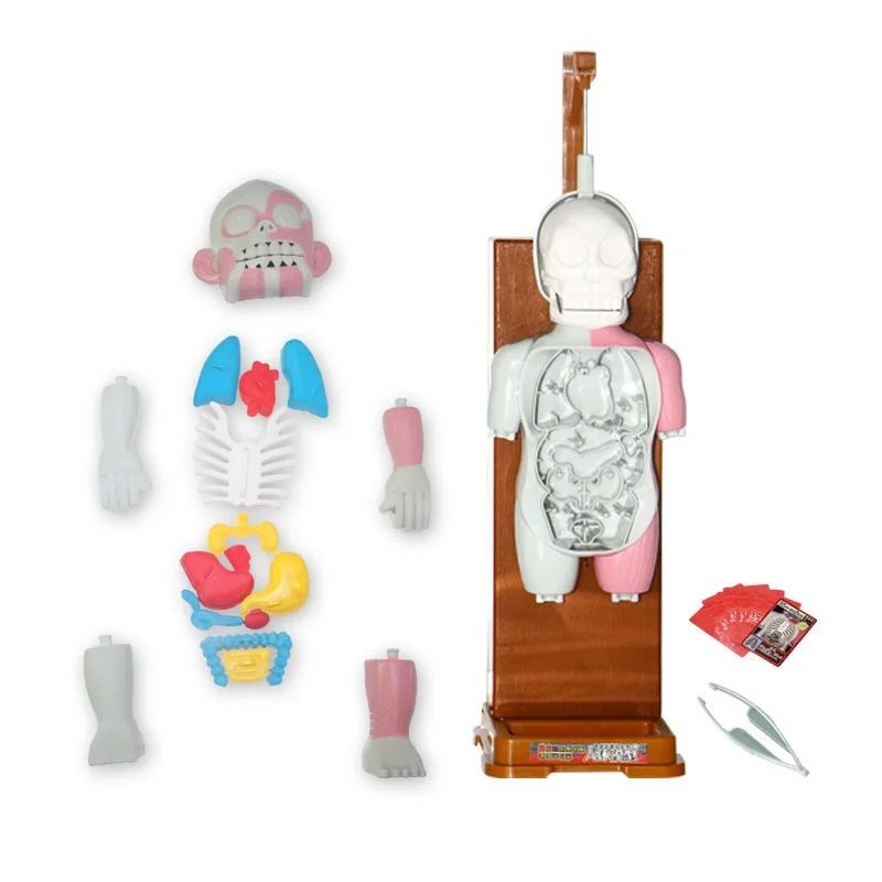 ของเล่นแปลกใหม่รูปทรงร่างกายมีเสียง ตลกขบขัน ของเล่นเล่นสนุก เกมปาร์ตี้ ของเล่นแบบอินเทอร์แอคทีฟ สำหรับเด็กและผู้ใหญ่ ของขวัญสุดสร้างสรรค์