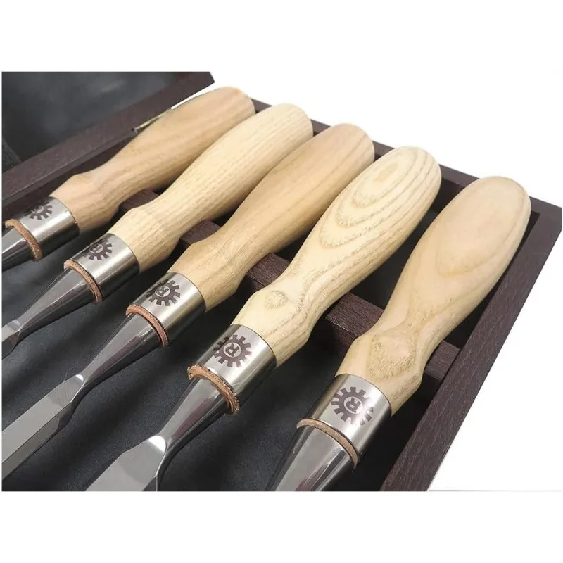 Juego de 5 cinceles Richter Bevel Edge