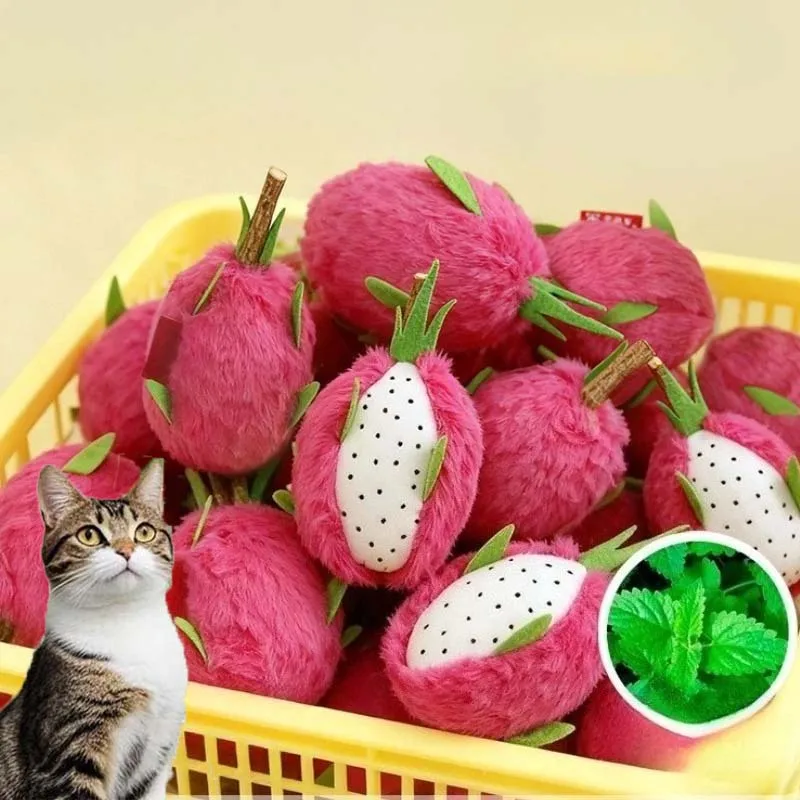 Gato de pelúcia mastigar brinquedo catnip interativo mordida-resistente dragão fruta gatinho brinquedo bonito limpeza dos dentes gato brinquedo suprimentos