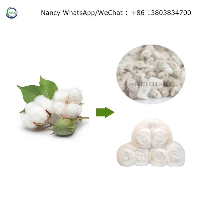 Roller Cotton Gin Sägeblatt Baumwollmaschinen Ginning Maschinen Verarbeitung Automatische Ginned Cotton Seed Reinigungsmaschinen