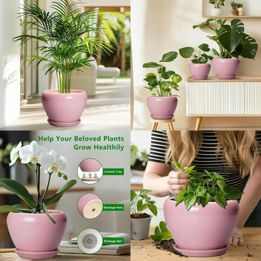 

8. Круглая розовая современная глазурованная керамическая кашпо для суккулентов с дренажем и блюдцем для внутреннего и наружного использования.