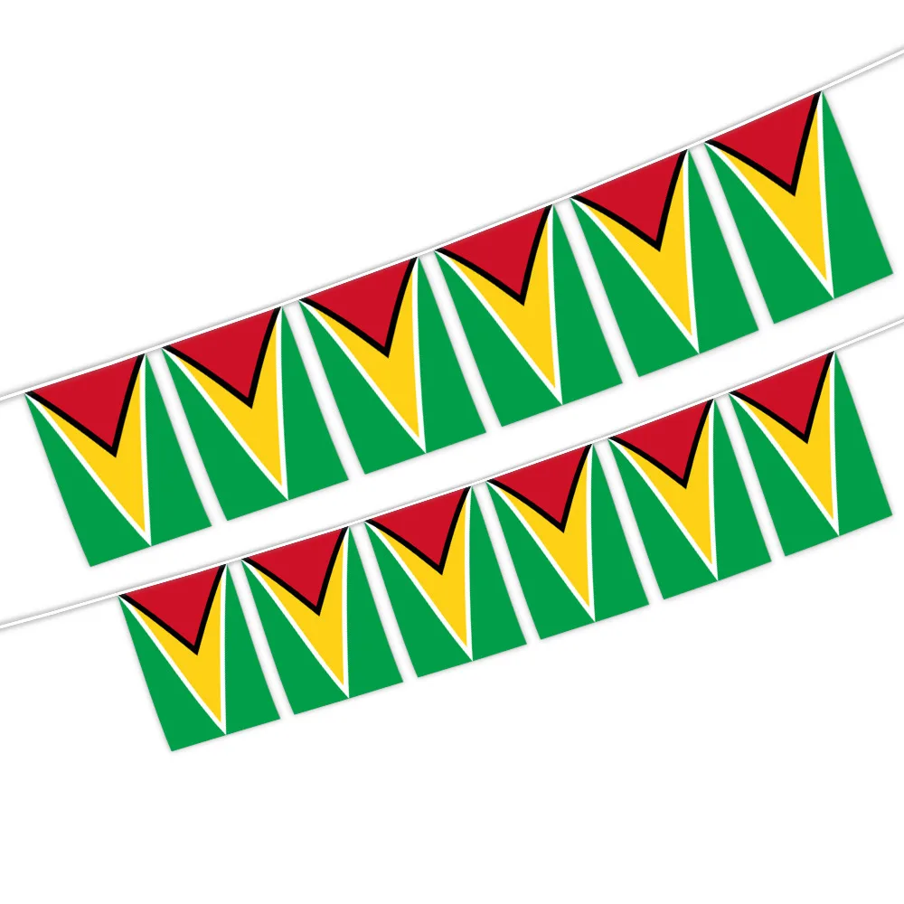 20Pcs Flags One String National Flag Lines Hang On One Rope Guyana Buntings 14*21cm Stream Banner String Guyana Banner Flags