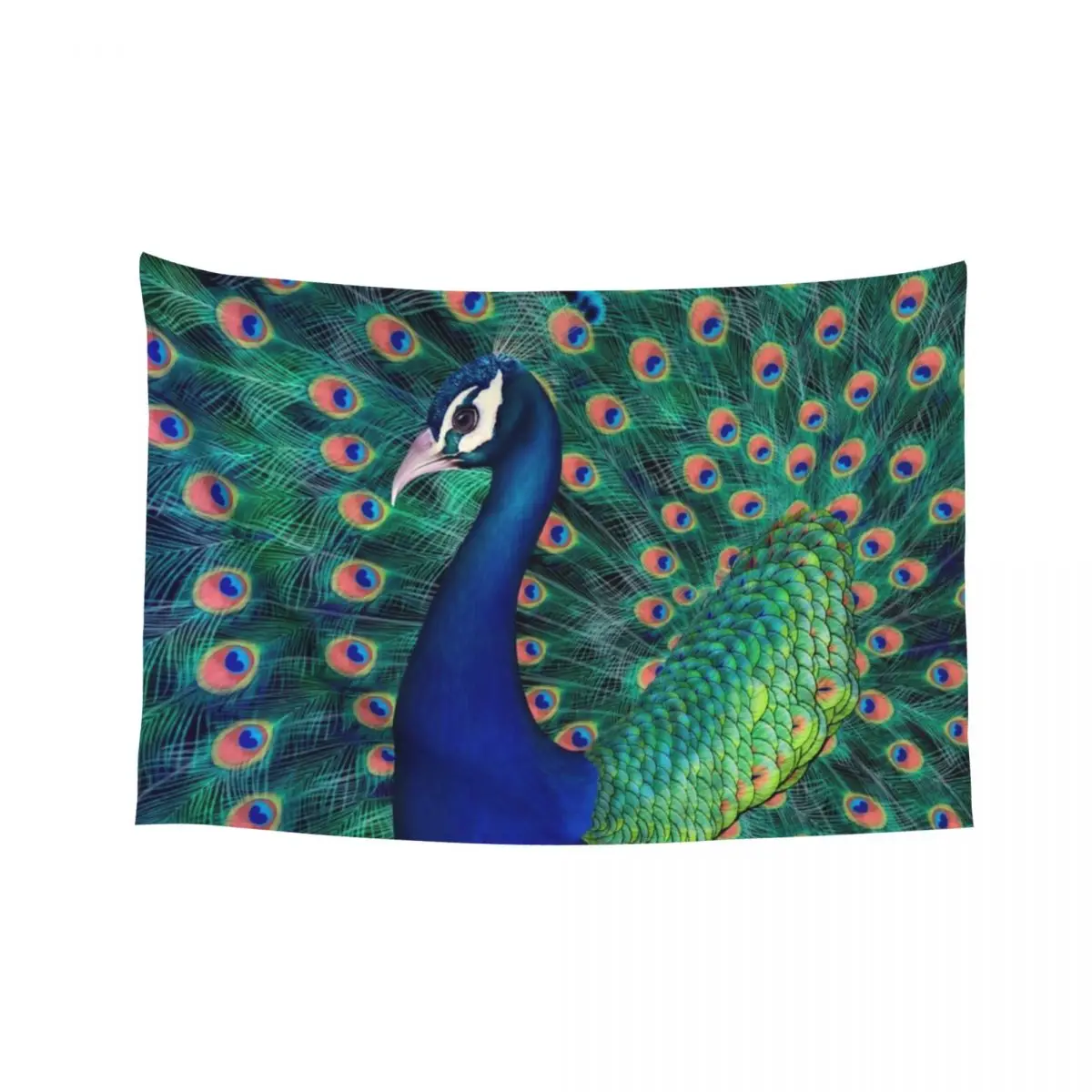 

Peacock Tapestry House Decoration Mushroom Bathroom Decor Tapestry