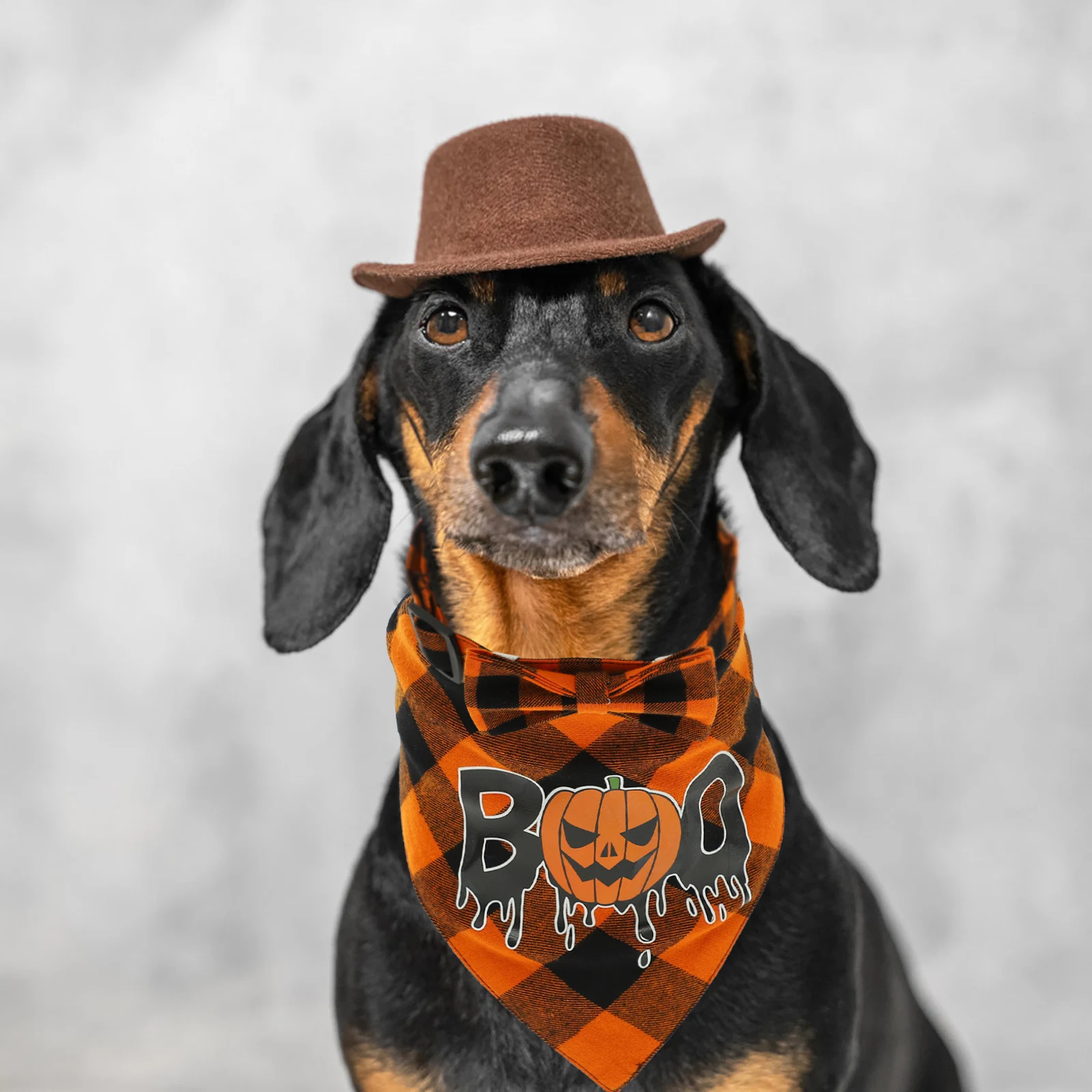 

Halloween Dog Costume Wear Resistant Puppy Collar Triangle Scarf Reusable B Cotton Pet Party Supplies Lovely Delicate Dog