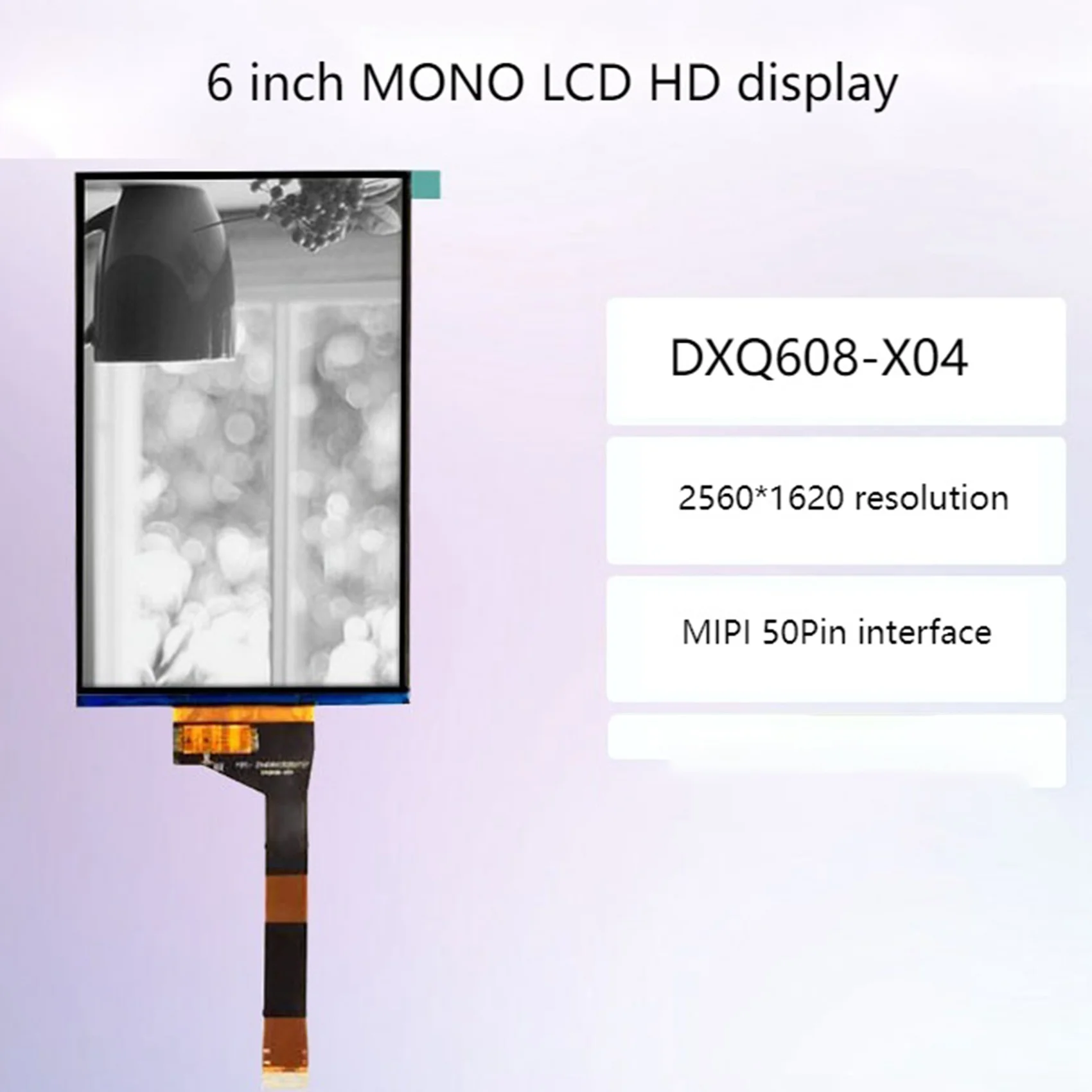 6 inch MONO LCD HD-scherm, DXQ608-X04, 2560X1620 resolutie, MIPI 50-pins interface, voor Mars 2/2 Pro/