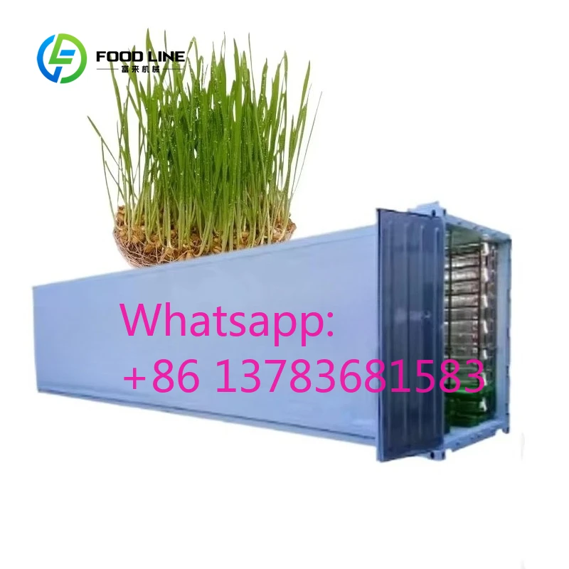 Customized Smart Mushroom Container Farm with Automated Climate Control Commercial Modular Mushroom Growing Container