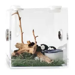 1PCS Reptiles Breeding Box Clear Acrylic Cage Habitat Insect Feeding Box Terrarium Tank Escape Proof For Jumping Spider