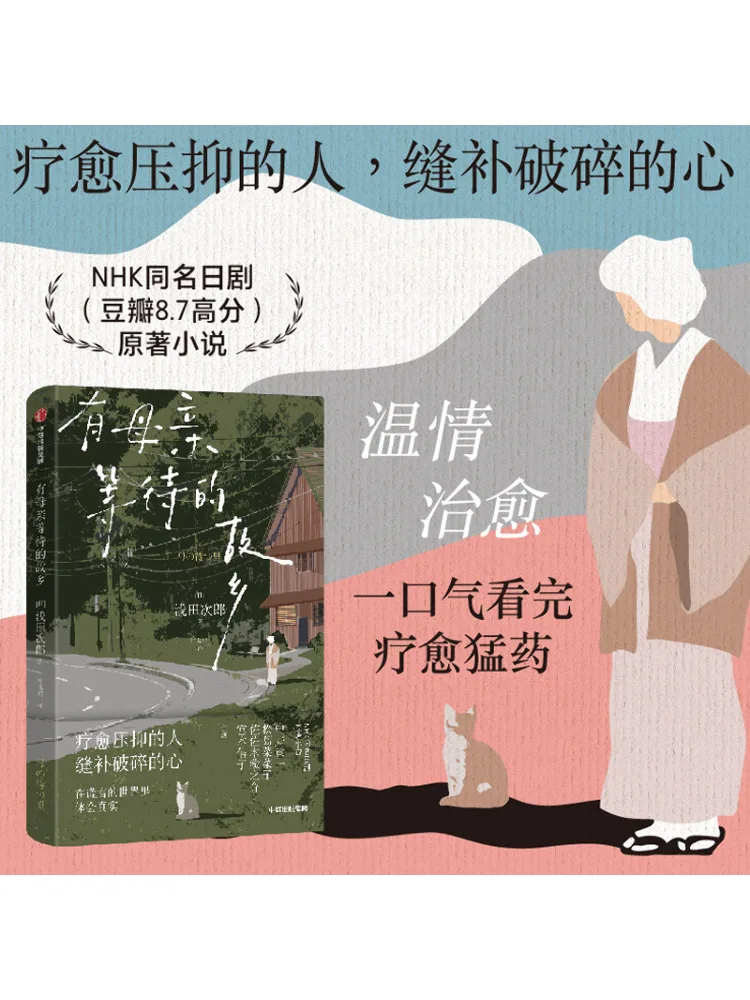 Libro-Winshare Cometown Dov'è la madre attende