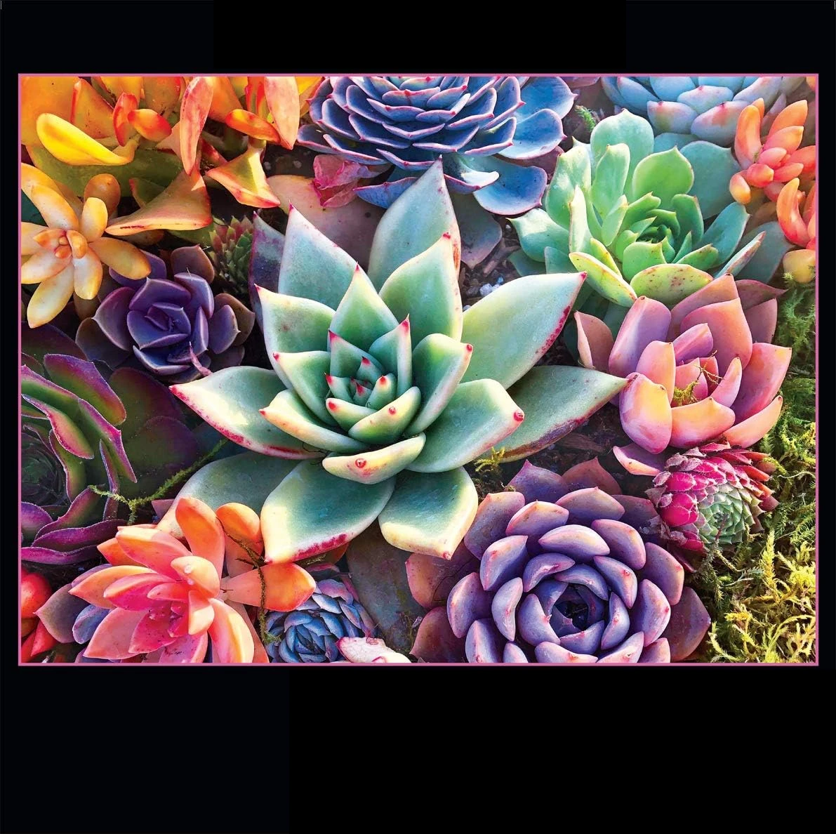 120/300/500/520/1000/1314 peças quebra-cabeça de madeira suculenta presente perfeito para amantes de quebra-cabeça família amigo sala de jogos decoração de quarto de casa