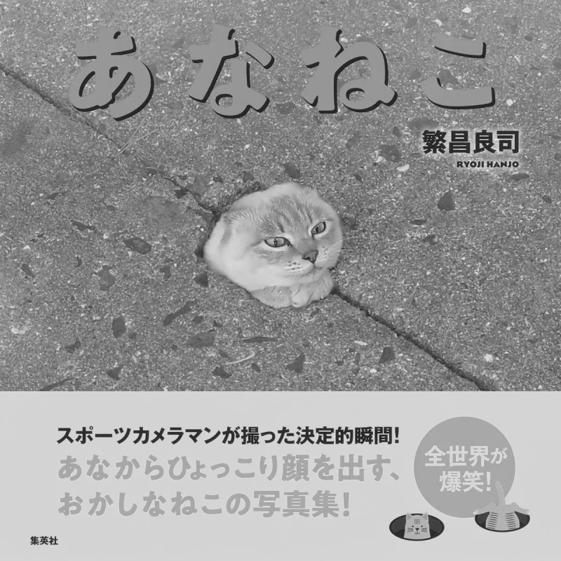 

Ananeko Fan Chang Liang Si Shueisha 9784087816914 Book