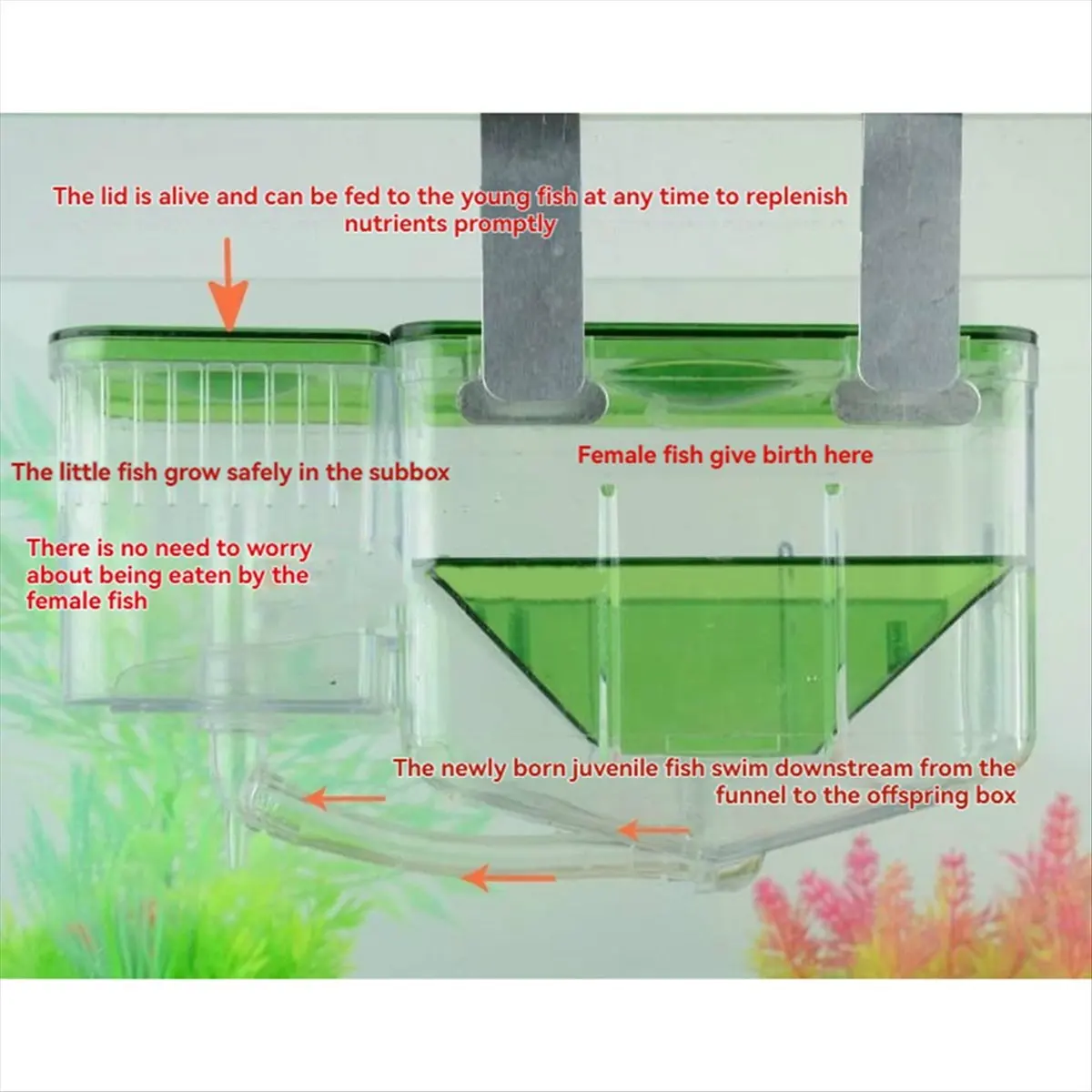 X10A Aquarium Fish Tanks Breeding Box Little Fish Double‑Layer Isolation Incubator for Fish ShrimpSpawning Box
