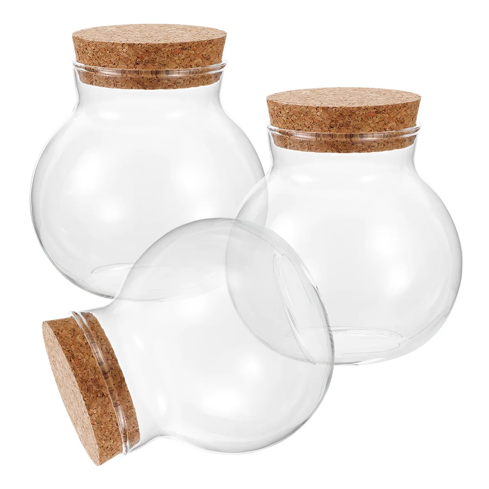 

3 Pcs Glass Ecological Bottle 13cm Desktop Micro-landscape Smooth Surface Easy Clean Creative Design Transparent Moss Container