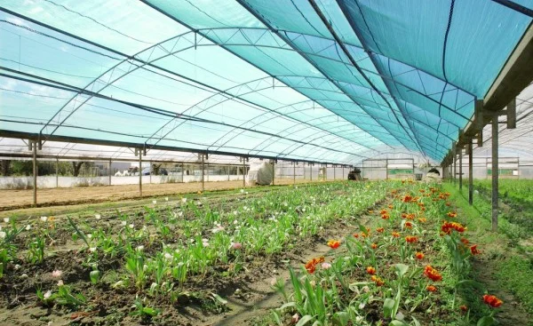 2025Customized HDPE High Quality UV Resistant Outdoor Sunshade Net for Agriculture Greenhouse