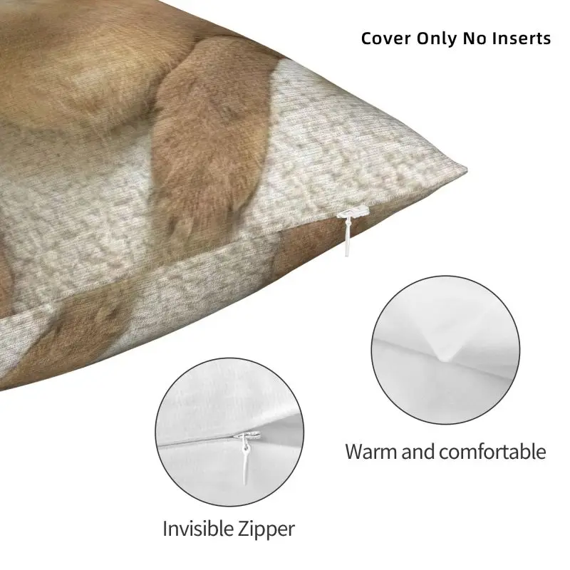 Nordic Floppa Cat Funny Meme Kissenbezug für Sofa Soft Caracal Dekokissenbezug Home Decor