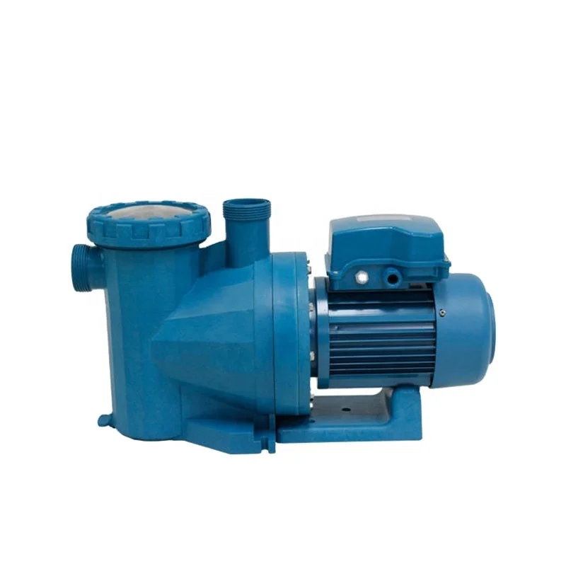 Hot Sale Swimming Pool Pump Filter Filter Garden Underground Portable Water Pump Astral Variable Pump