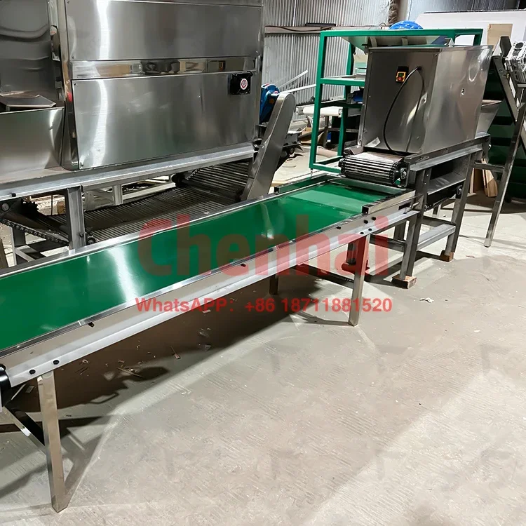 Fully Automatic Garlic Processing Line Garlic Clove Separator Machine Garlic Cleaning Machine