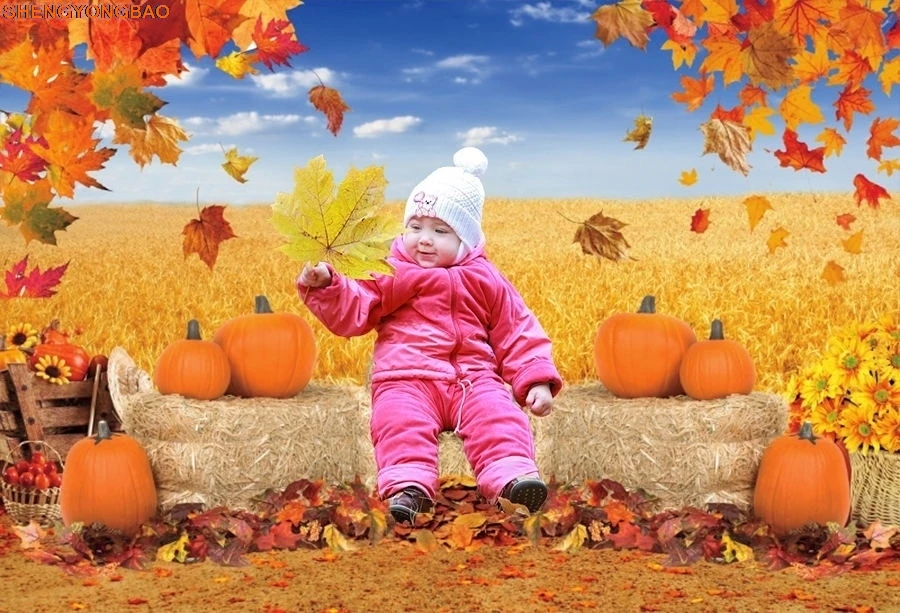 Pemandangan Alam Musim Gugur Gudang Pertanian Latar Belakang Tumpukan Jerami Daun Musim Gugur Latar Belakang Fotografi Potret Bayi Labu Studio Panggilan Foto