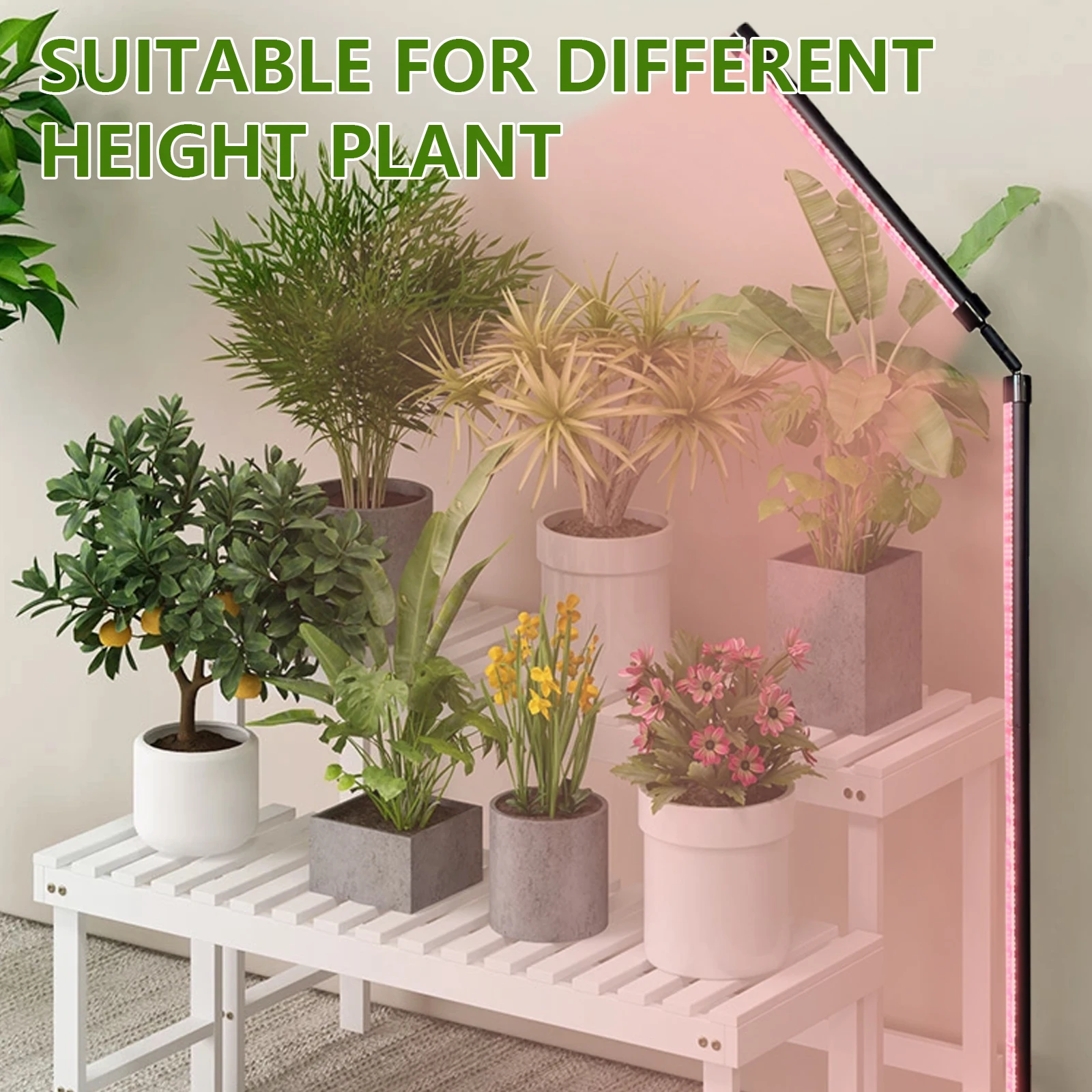 Luz LED de cultivo para plantas de interior, luces de plantas de espectro completo con soporte, lámparas de cultivo grandes con temporizador automático