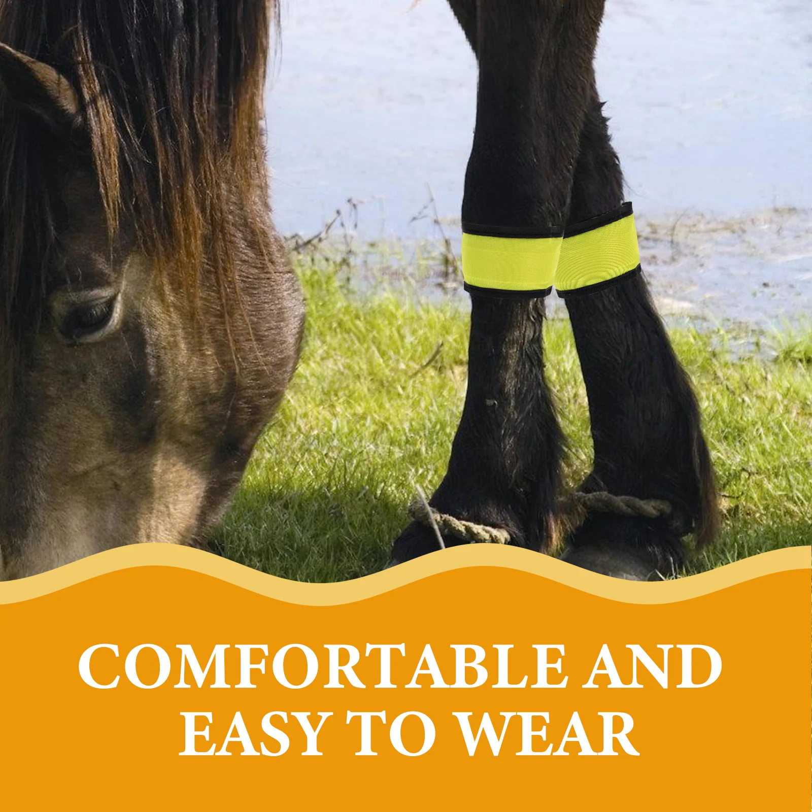 4 قطع من أطواق الحصان، معدات سلامة الفروسية، أشرطة كاحل LED ساطعة، حزام ساق متوهج #3