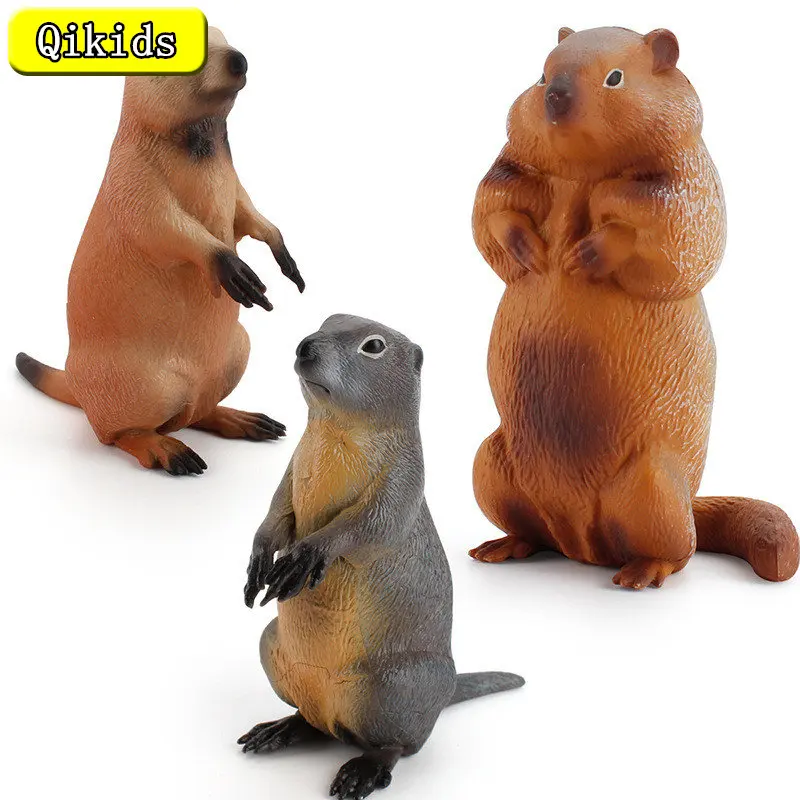 Simulation Animals Models Wild Rodent Marmot Mouse Groundhog Action Figure Figurine Lovely PVC Education Toys For Children Gifts