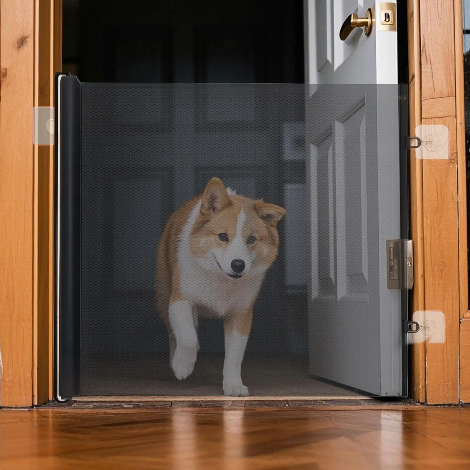 Thumbnail 3 - #45 Compare Puppy Doors Before You Buy