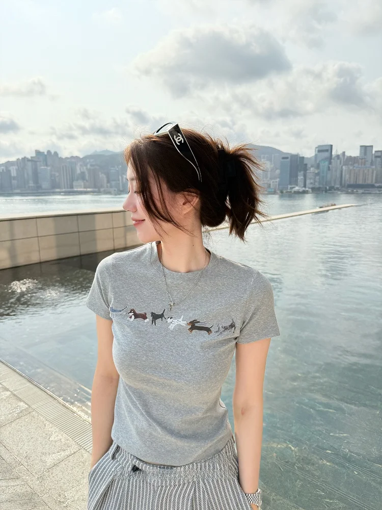 WizAann Original Cartoon Sausage Dog Grey T-Shirt Fun Slim Fit Summer Women's round Neck Cotton Short Sleeve Moisture Wicking