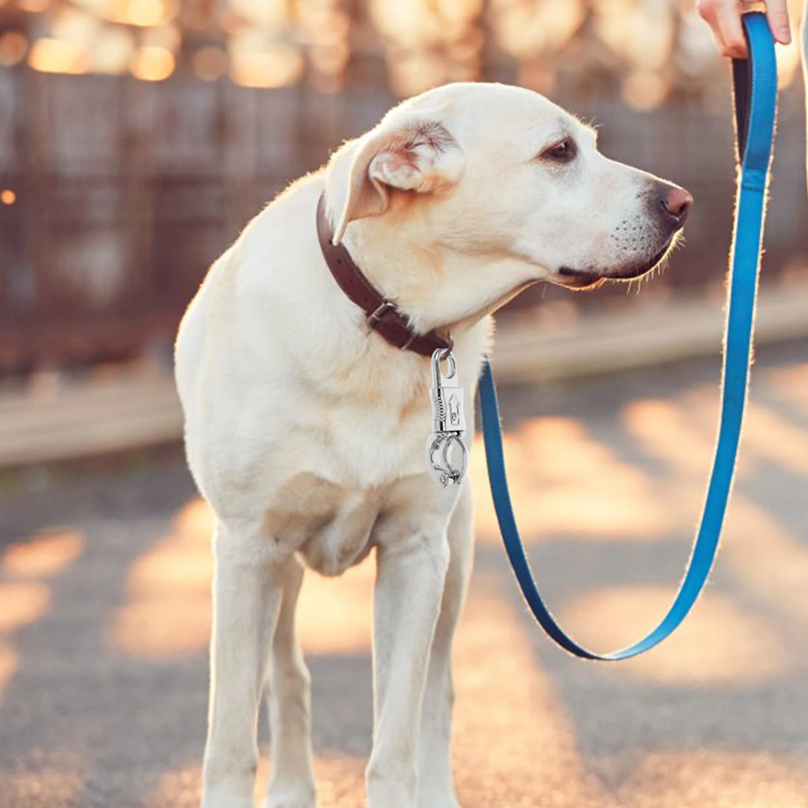 

2Pcs Dog Leash Buckles Metal Snap Hooks Quick Release Clips Dog Collar Hardware Traction Hardware Pet Leash Supplies Travel Use