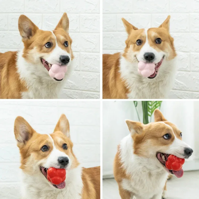 Thumbnail 3 - #75 Compare Treat Dispensing Dog Toys Before You Buy