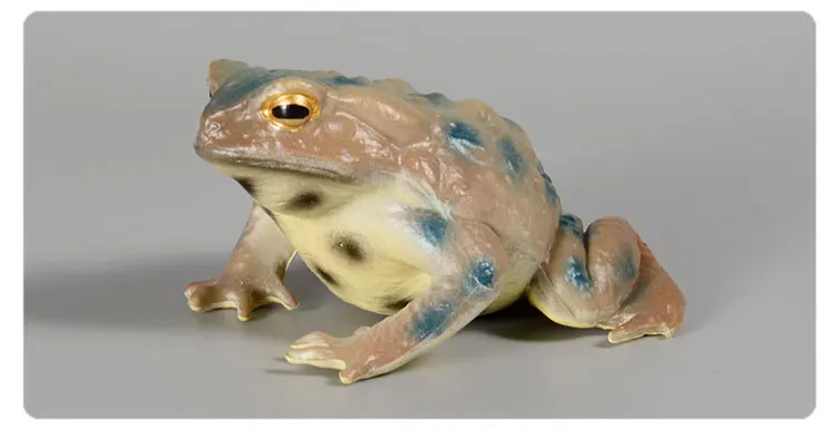 Pädagogische realistische Krötenfrosch-Figur, handbemaltes Wildtier, Insektenfigur, Gummi-Tiermodell, Spielzeug für Kinder – Detail 10