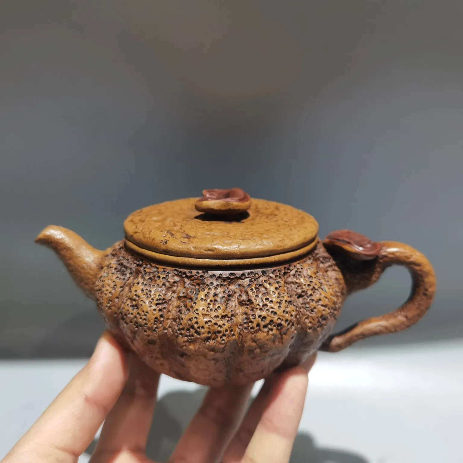 Purple Clay Pot Lingzhi Pot for Spring Offering Tree Root Texture Pot Kettle Teapot  Pot Tea
