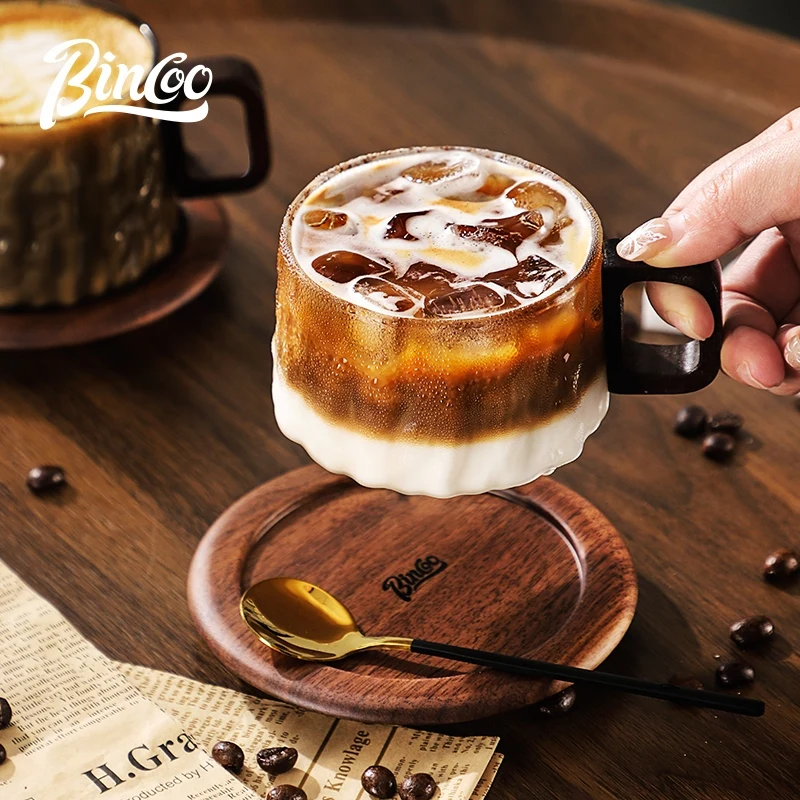 BINCOO Heat-resistant Glass Coffee Cup & Saucer Set with Spoon Handle Design Ideal for Home & Office Use 230ML