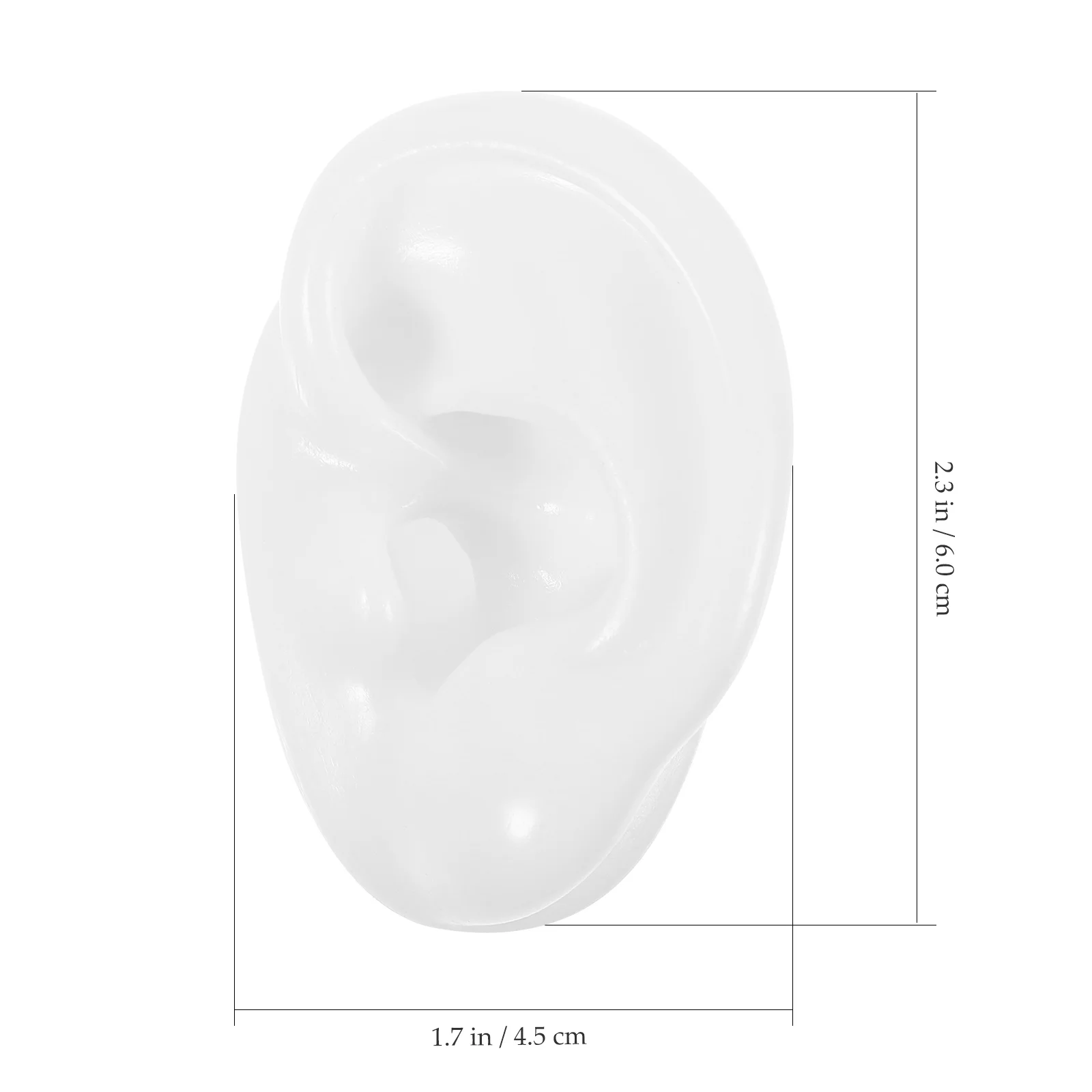 Ear Mold Headset Stand Models Auditory Meatus Imitation Real Acupoint Learning Tool Simulation Silicone Silica Gel