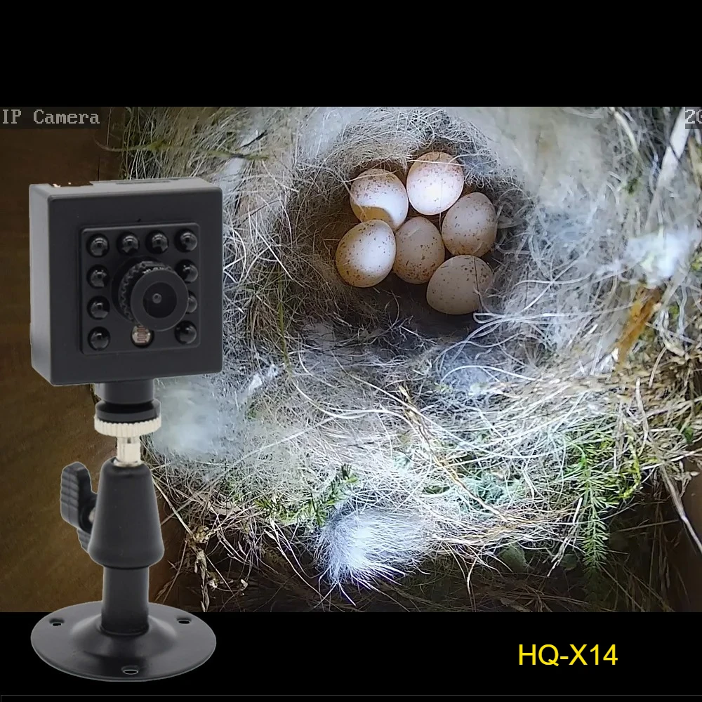 Camhipro 8MP 2MP 5MP HD SD Karte Gebaut-in Audio Video 940nm IR Nachtsicht Wifi Drahtlose IP Vogelhaus kamera Mit Doppel Halterung