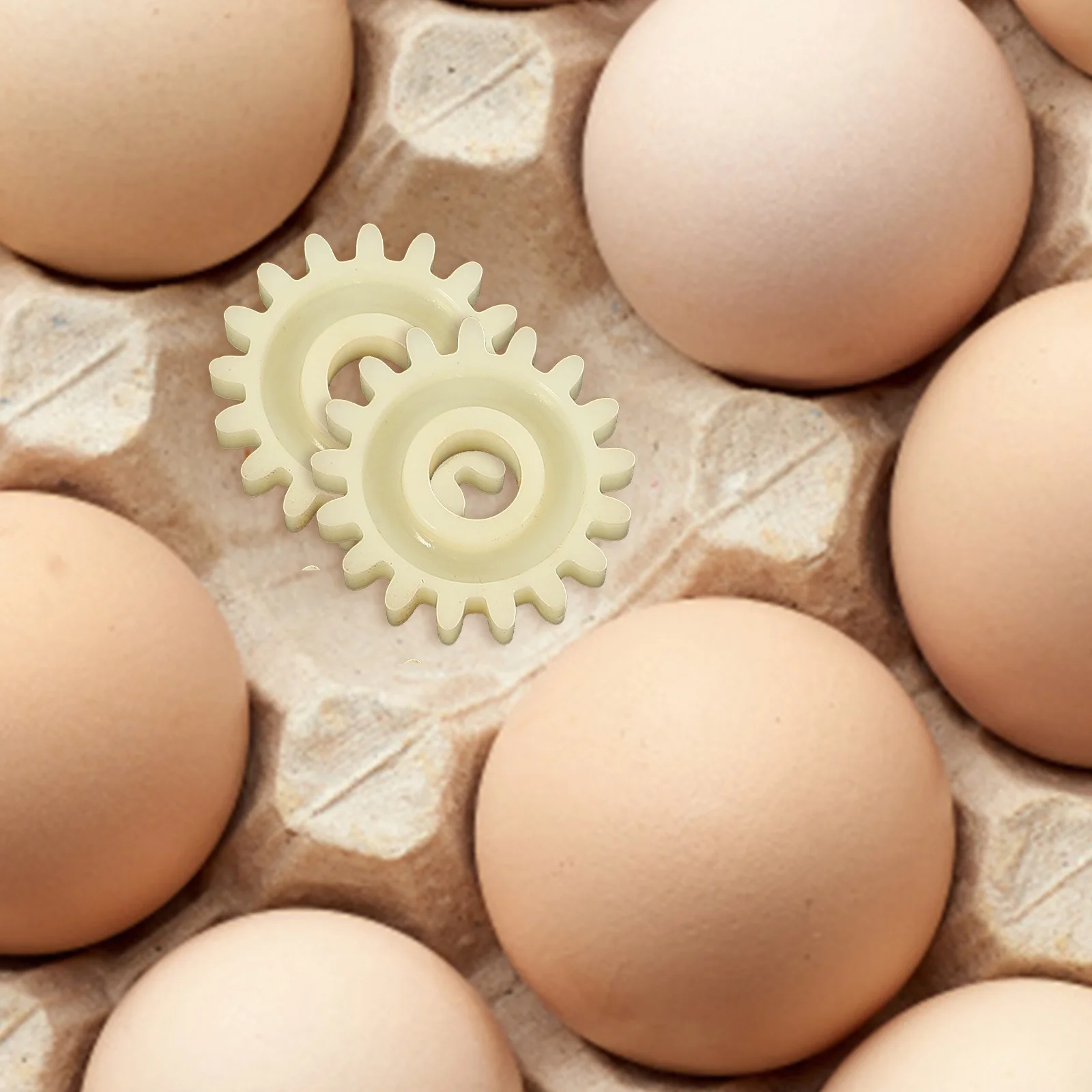 

10Pcs Reversible Gear Incubator Engine for Egg Turning Motor Hatching Machine Parts Farming Supplies Incubator Gear