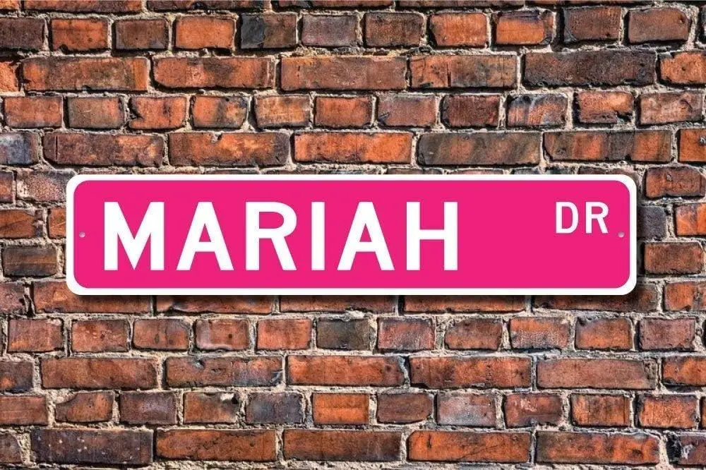 Metal Street sign Home Decor Sign Mariah Sign Lover Mariah Birthday Gift Child Gift Grandchild Gift Metal Sign 16x4 inches