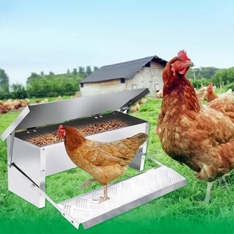 حوض أعلاف الدجاج، مستلزمات تربية الدجاج من نوع الدواسة، حوض تغذية مقاوم للمطر والقوارض، وحدة تغذية الدجاج الأوتوماتيكية، أوتوماتيكية #2