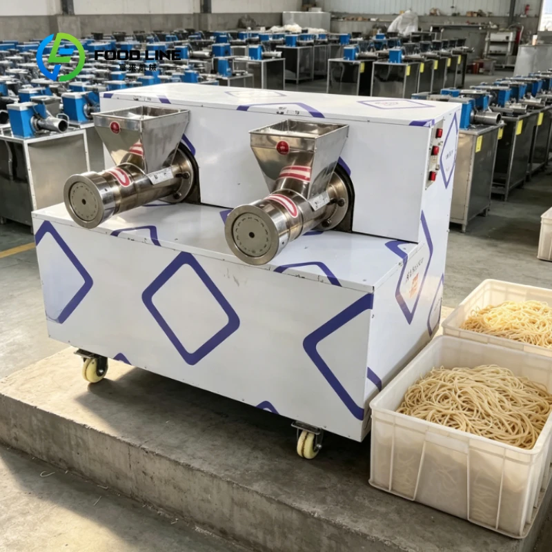 Customized Pasta Processing Extruder, Commercial Double Head Device for Stable Production of Spaghetti, Macaroni & Hollow Pasta