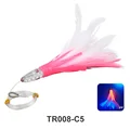 TR008-C5