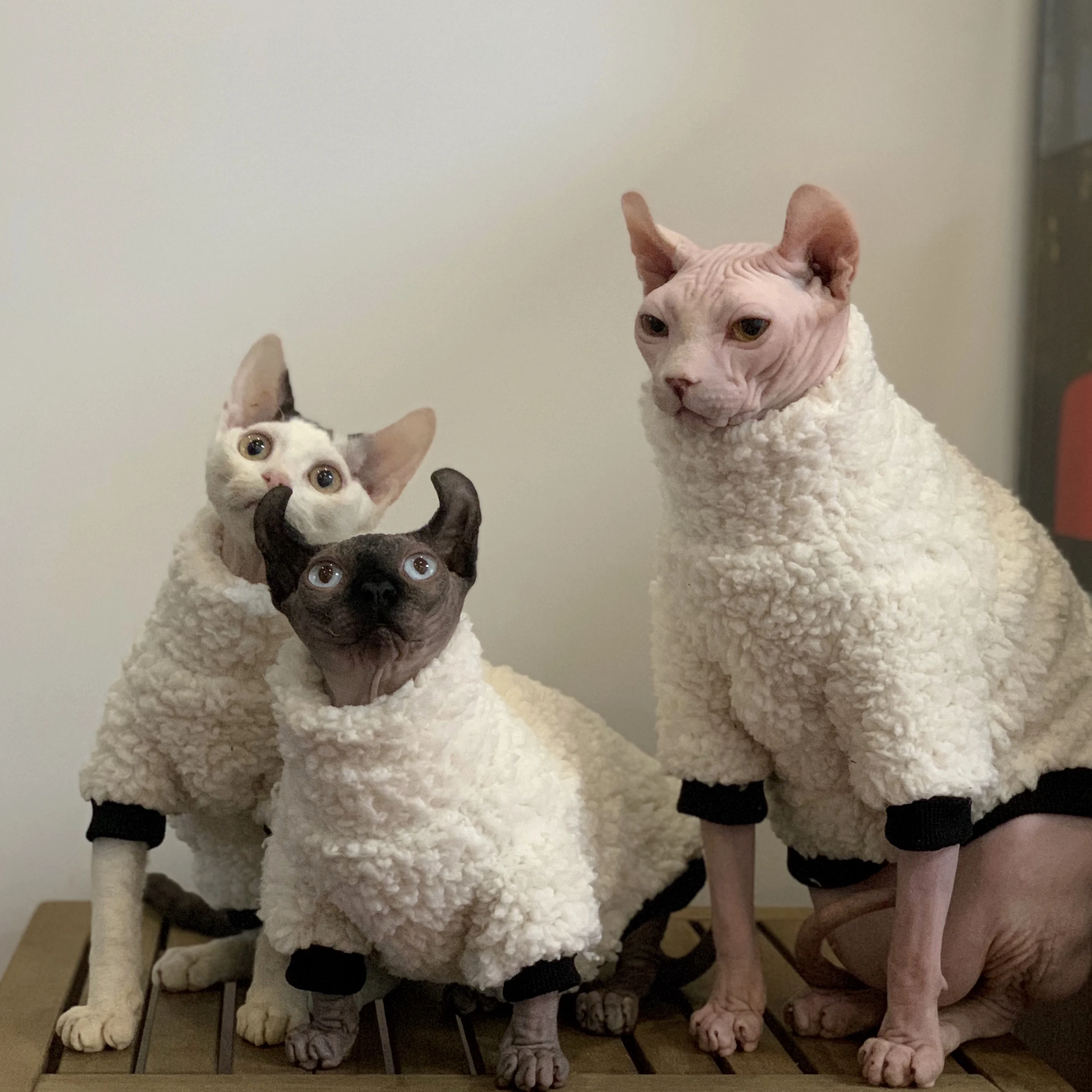 Fashion Warm Sphynx Cat Sweater Hairless Cat Clothes Thickening Soft Double-side Lamb Wool Fiber Coat for Devon Winter Outwear