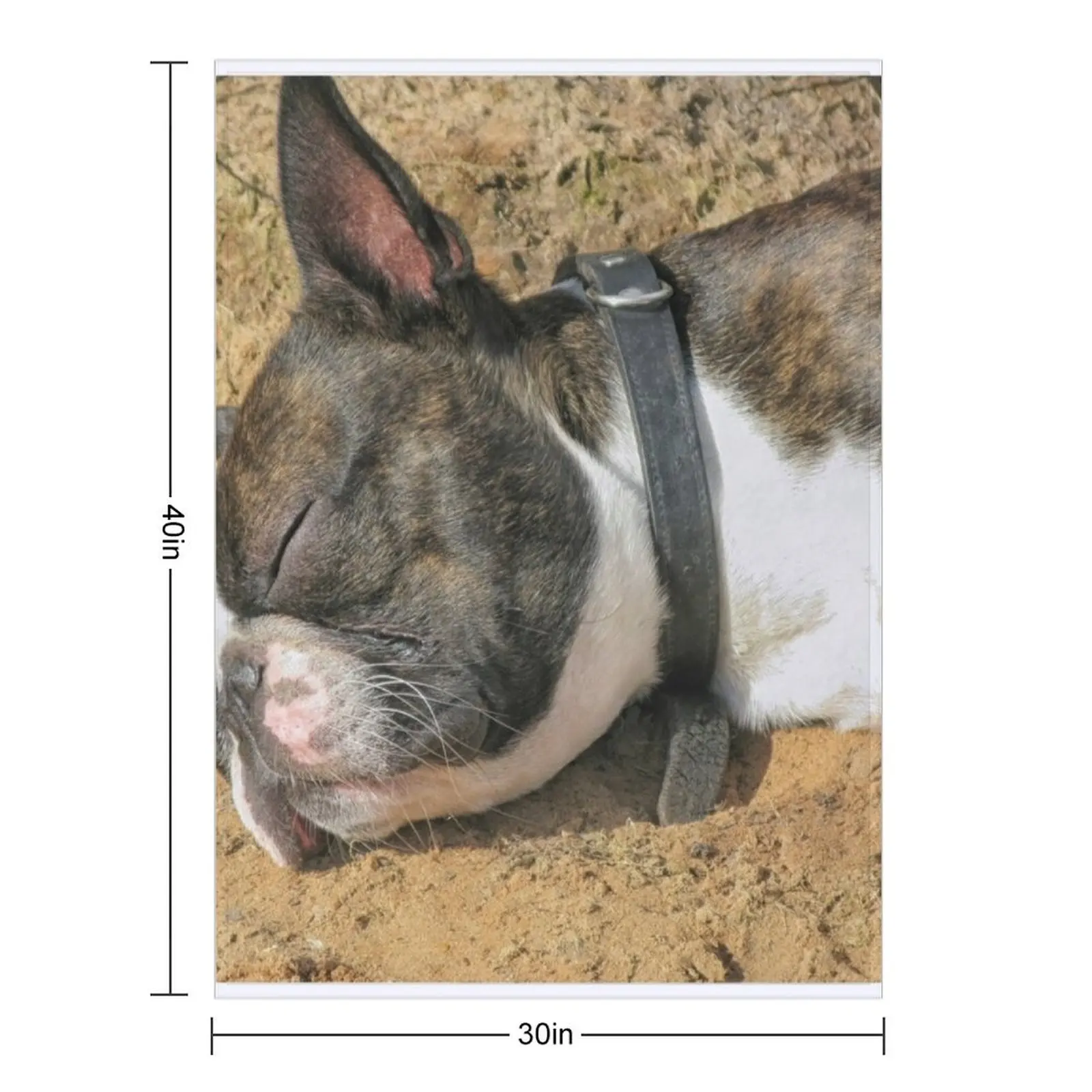 Boston Terrier sleeping Throw Blanket for sofa Sofa Quilt blankets and throws decorative Blankets