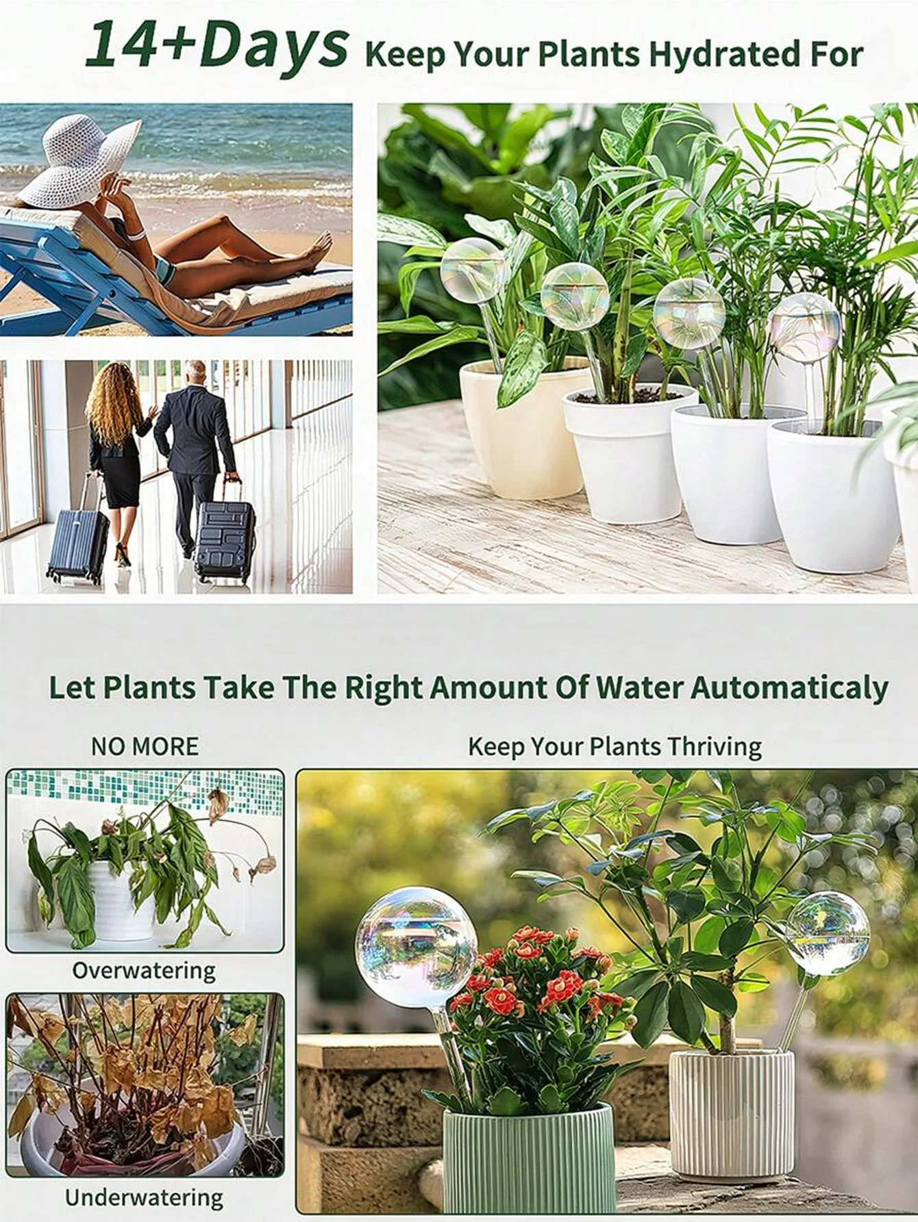 Aspersor de riego automático c - Smart Garden Project reseña y precio