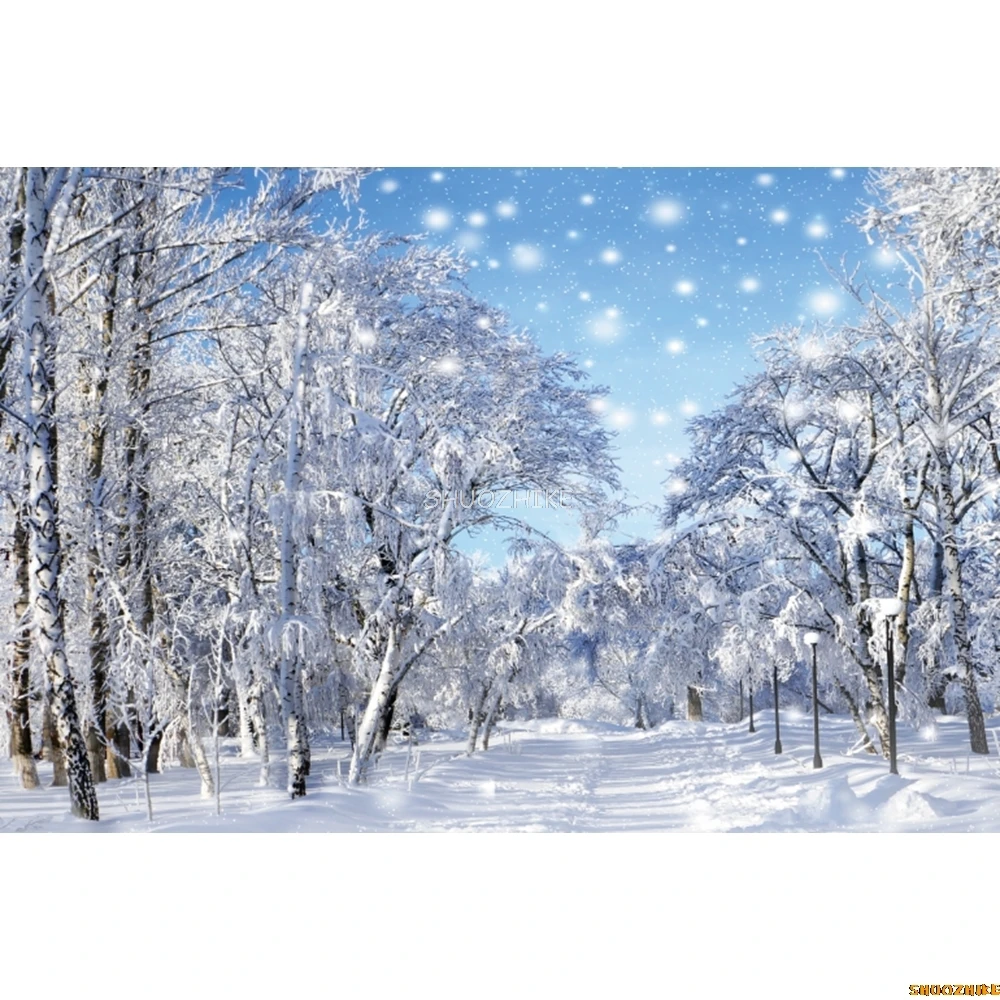 Inverno Foresta delle nevi Natura Paesaggio Sfondo Fiocco di neve Pupazzo di neve di Natale Albero di Natale Ritratto di bambino Fotografia Sfondo Decor
