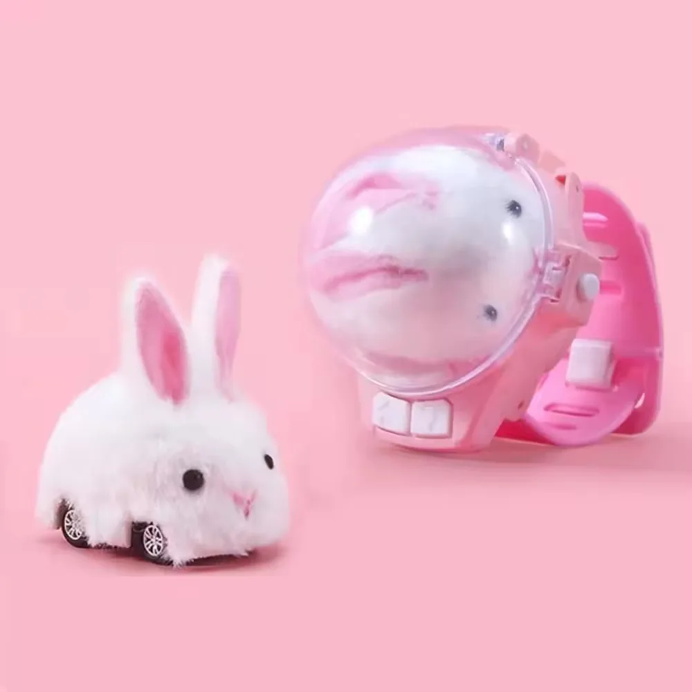 Capybara 3D dessin animé enfants RC voiture Mini montre jouets USB charge peluche lapin course jouets mignon animal de compagnie voiture pour enfant jeu interactif