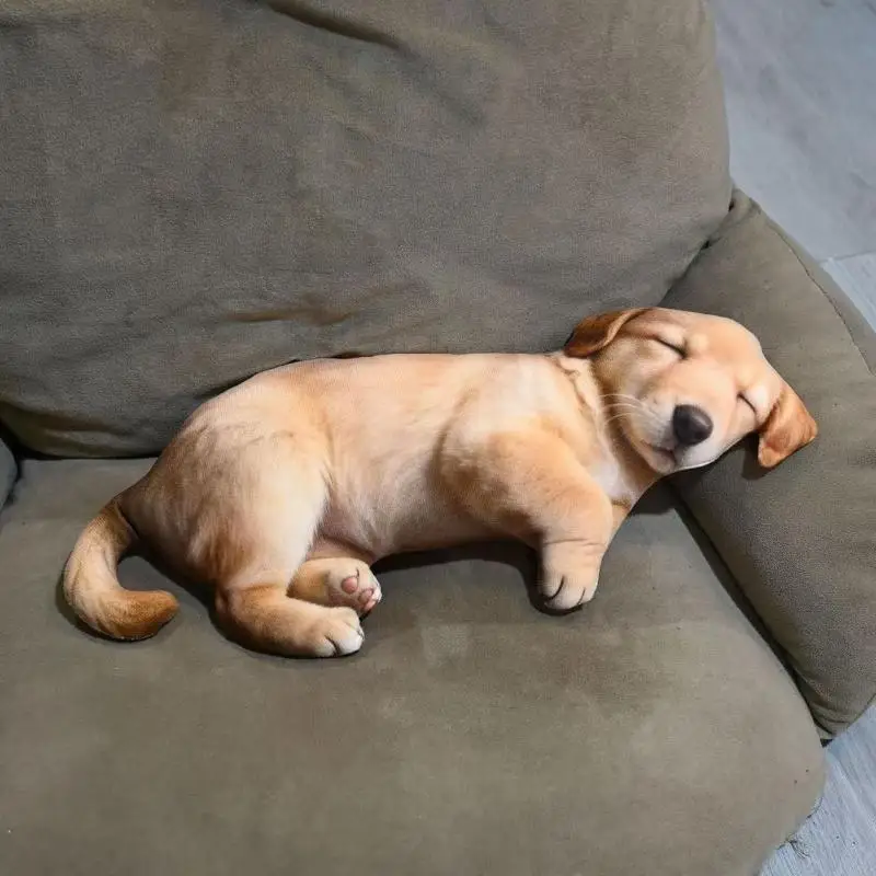 Realistic Cotton Stuffed Sleeping Dog Plush Toy Lifelike Soft Pillow Kawaii Home Decoration Doll