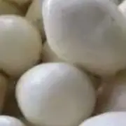 Автоматическая электрическая машина для мытья и очистки картофеля, 10 л, коммерческая, промышленная