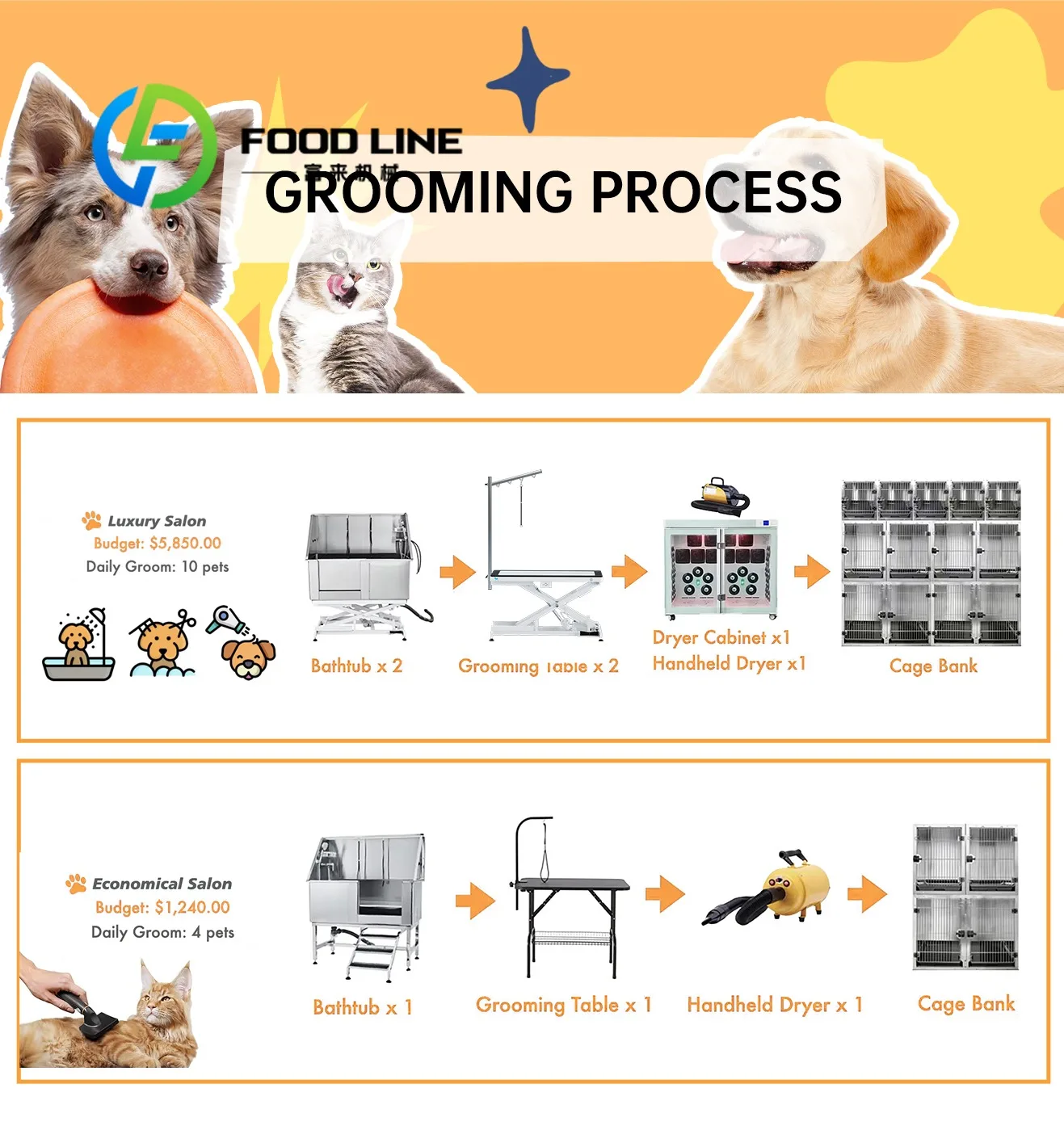 Novelty Designed New Self Service Automatic Coin Operated Large Dog Bathing Station Vending Washing Machine