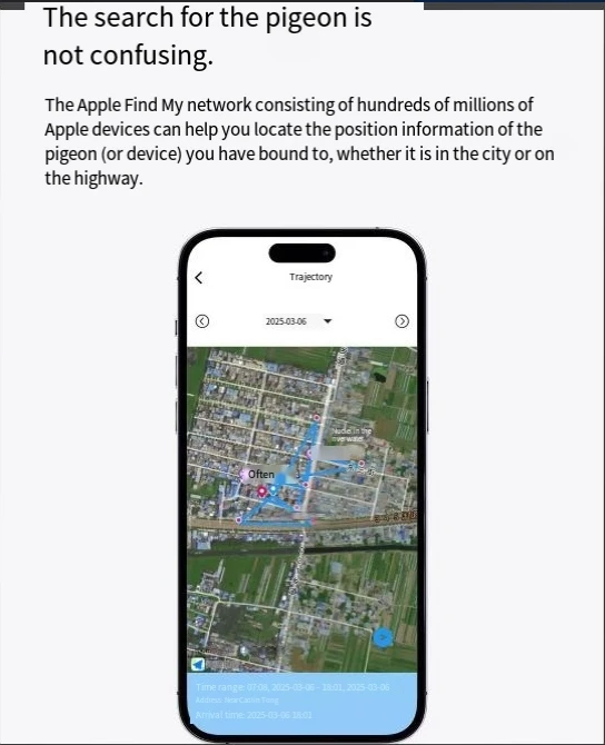 Real-Time GPS Locator for Pigeons and Loros Outdoor Flight Locator Leg Bands and Ring Pigeon Piogeon Bird Positioning