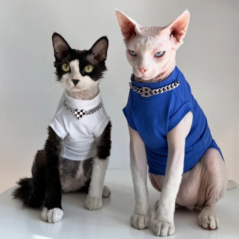 Luxury Winter Undershirt for Sphynx Cat Reflective Pet Clothes Reflective Pet Clothes Cat Jacket Devon Rex Sweatshirt in Autumn