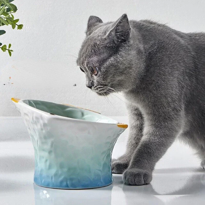 Thumbnail 3 - #39 Latest Elevated Cat Feeding Bowls Offers