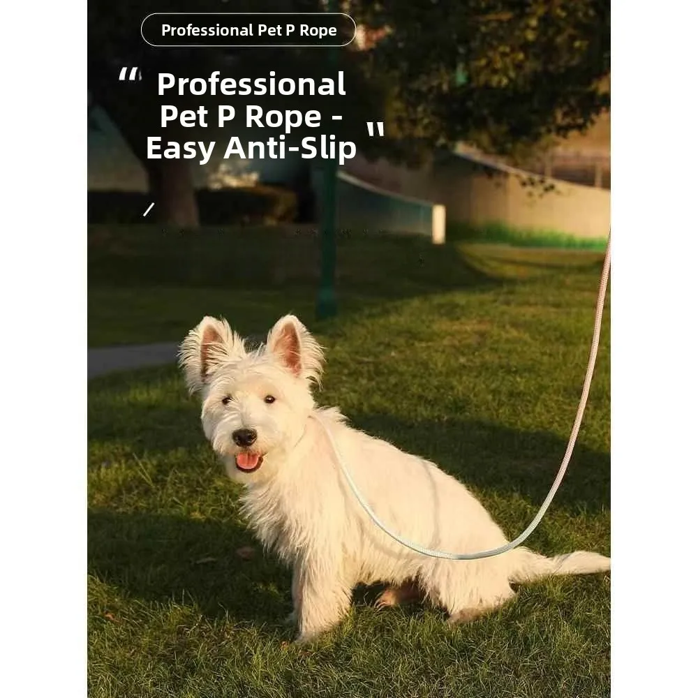 小型犬用トレーニングリード-ペットウォーキングロープ-テディpチェーンハーネス-防爆ドッグリード-サニアーブランド-犬用旅行用品